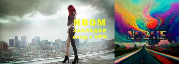 индика Алзамай