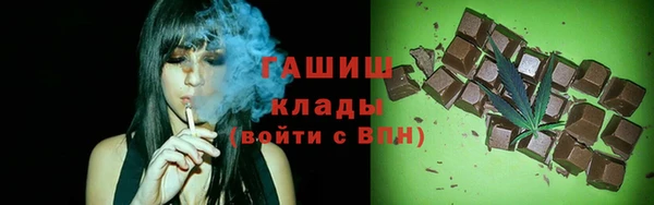 индика Алзамай
