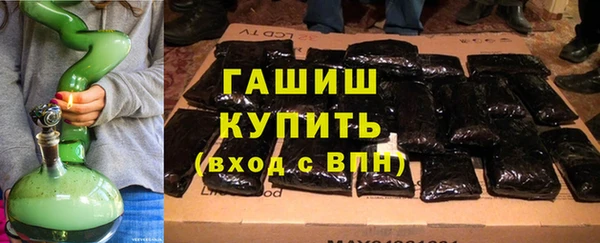 индика Алзамай