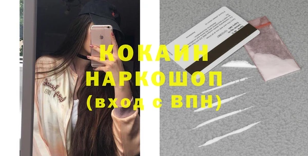 индика Алзамай