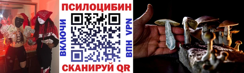 Псилоцибиновые грибы Magic Shrooms  Приморск 